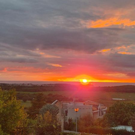 Apartman Dobrec Poreč Exteriör bild