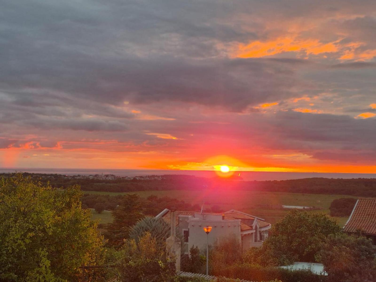 Apartman Dobrec Poreč Exteriör bild